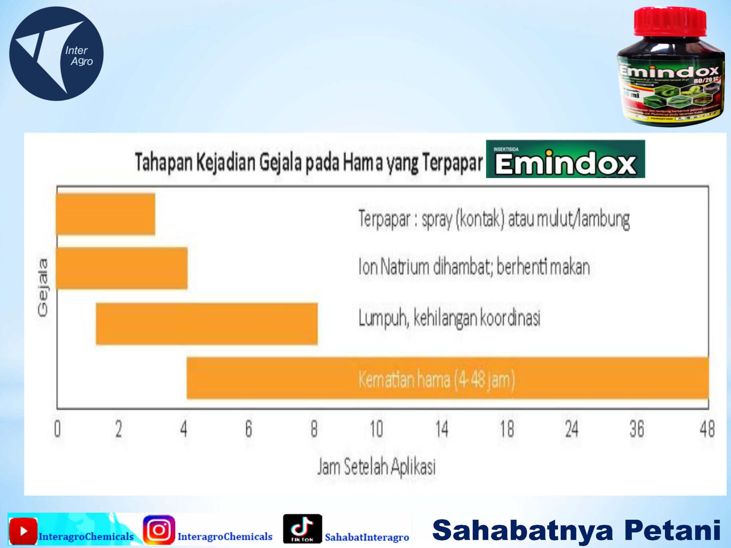 6. Emindox 100 Scjpg Page4