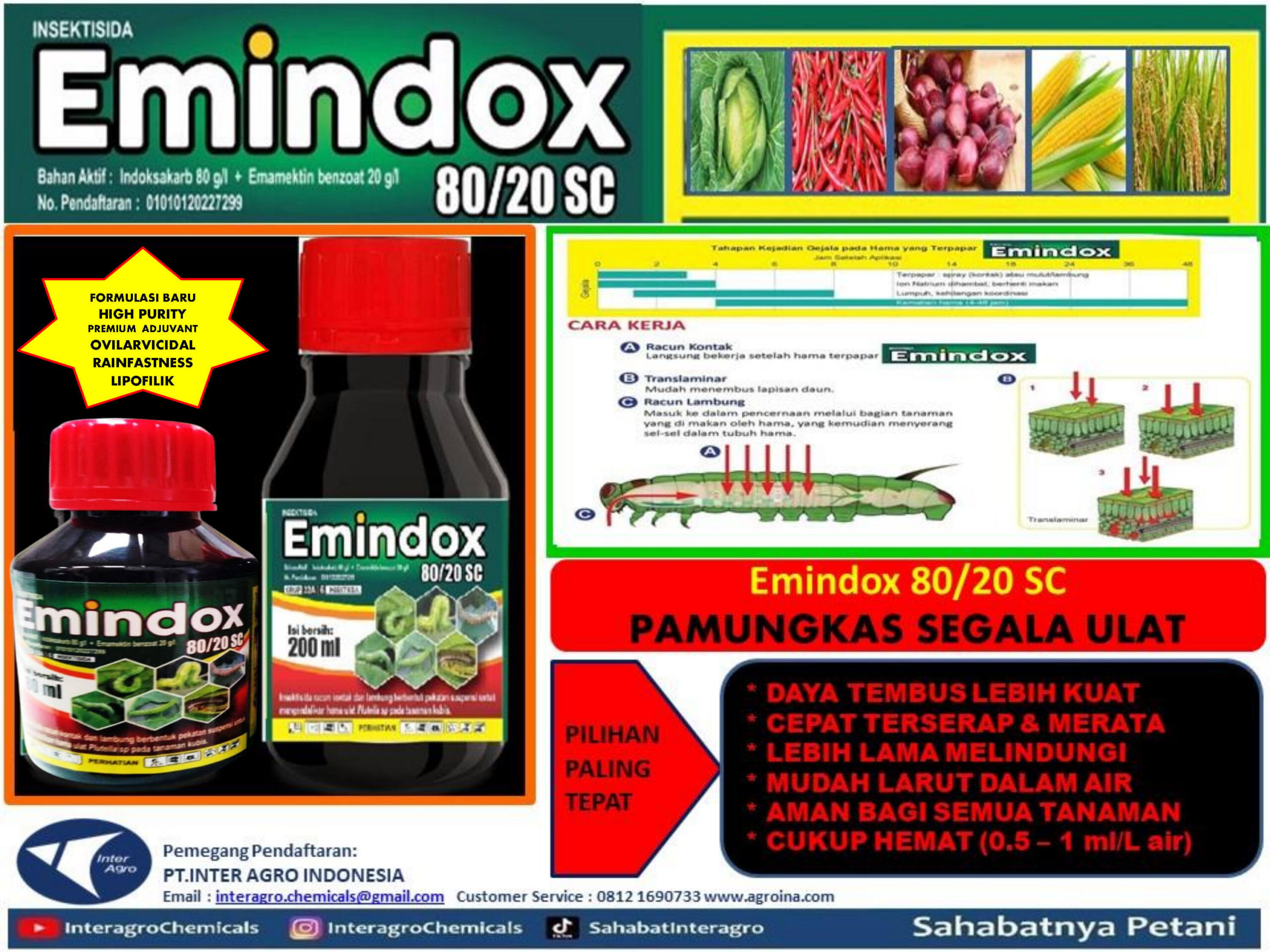 6. Emindox 100 Scjpg Page8