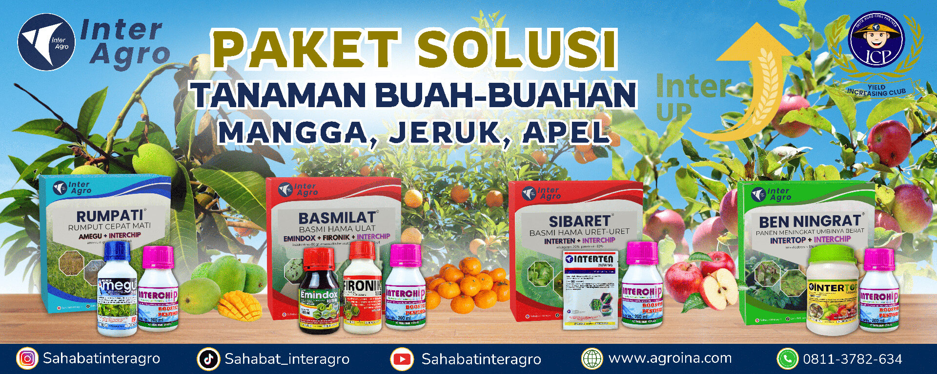 6. Fruits Buah Buahan 副本