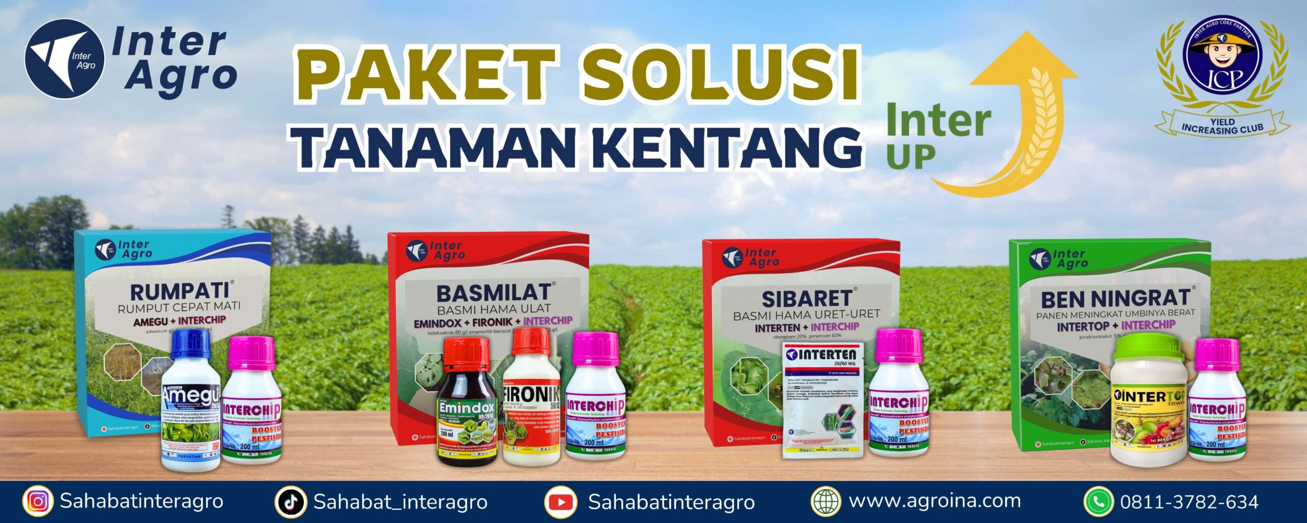 6. Potato Kentang