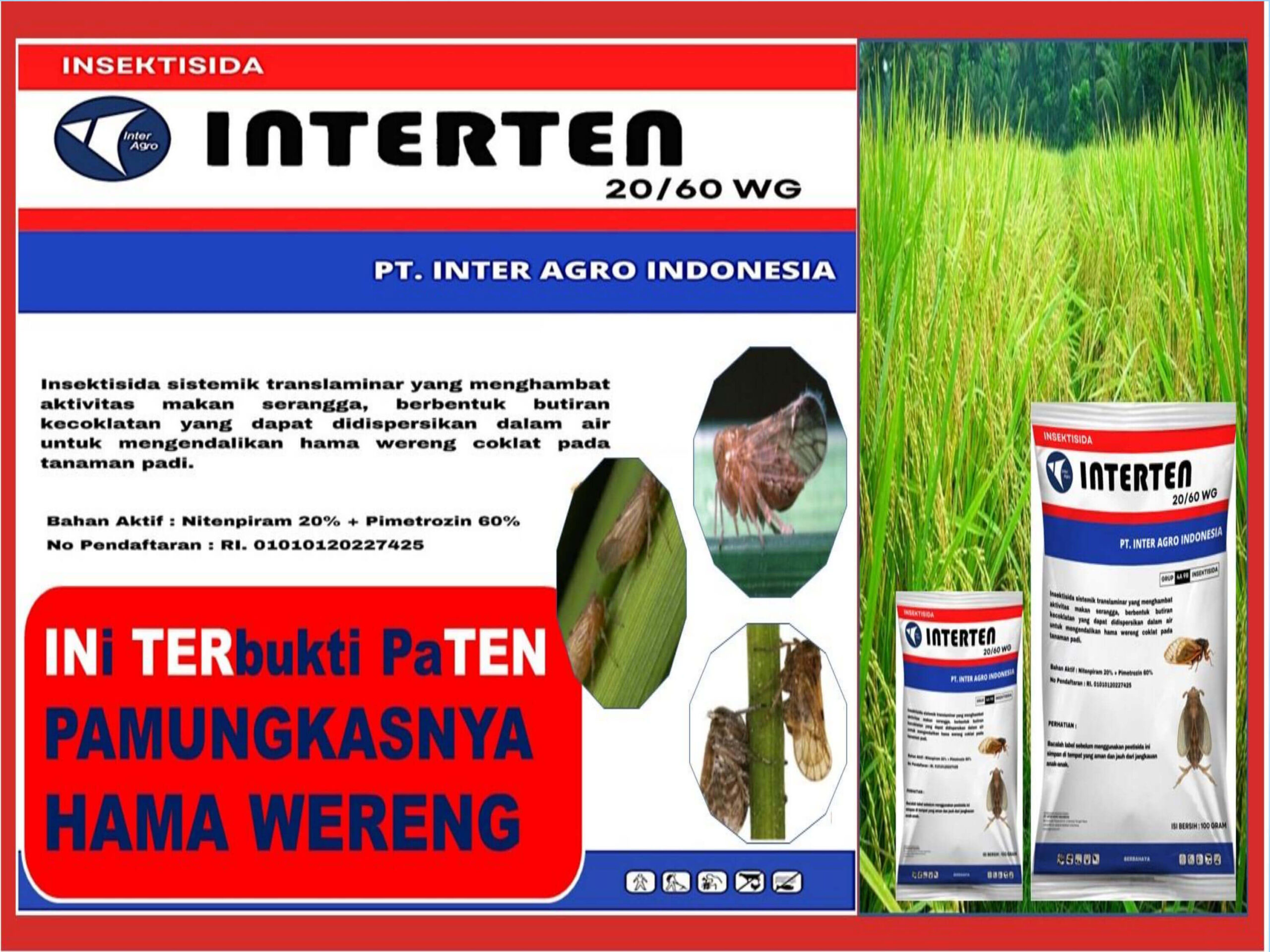 7. Intertenjpg Page6