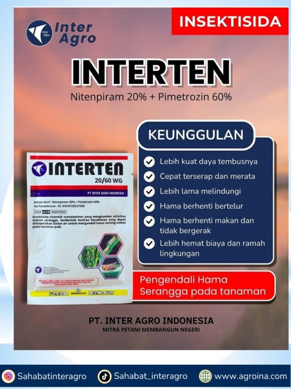 7. Interten