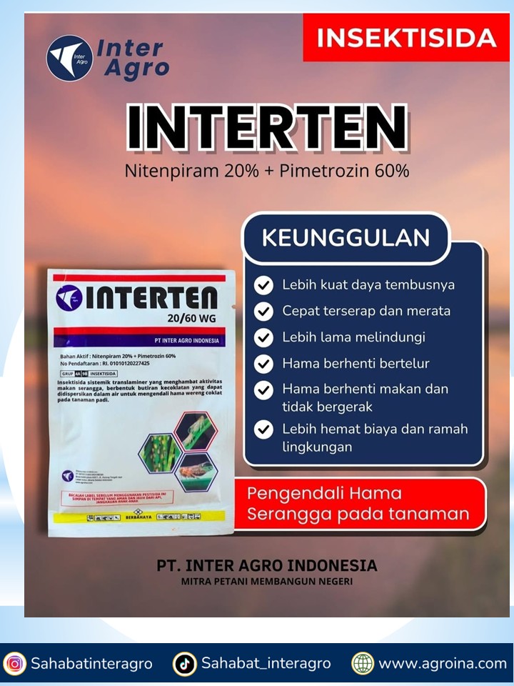 7. Interten