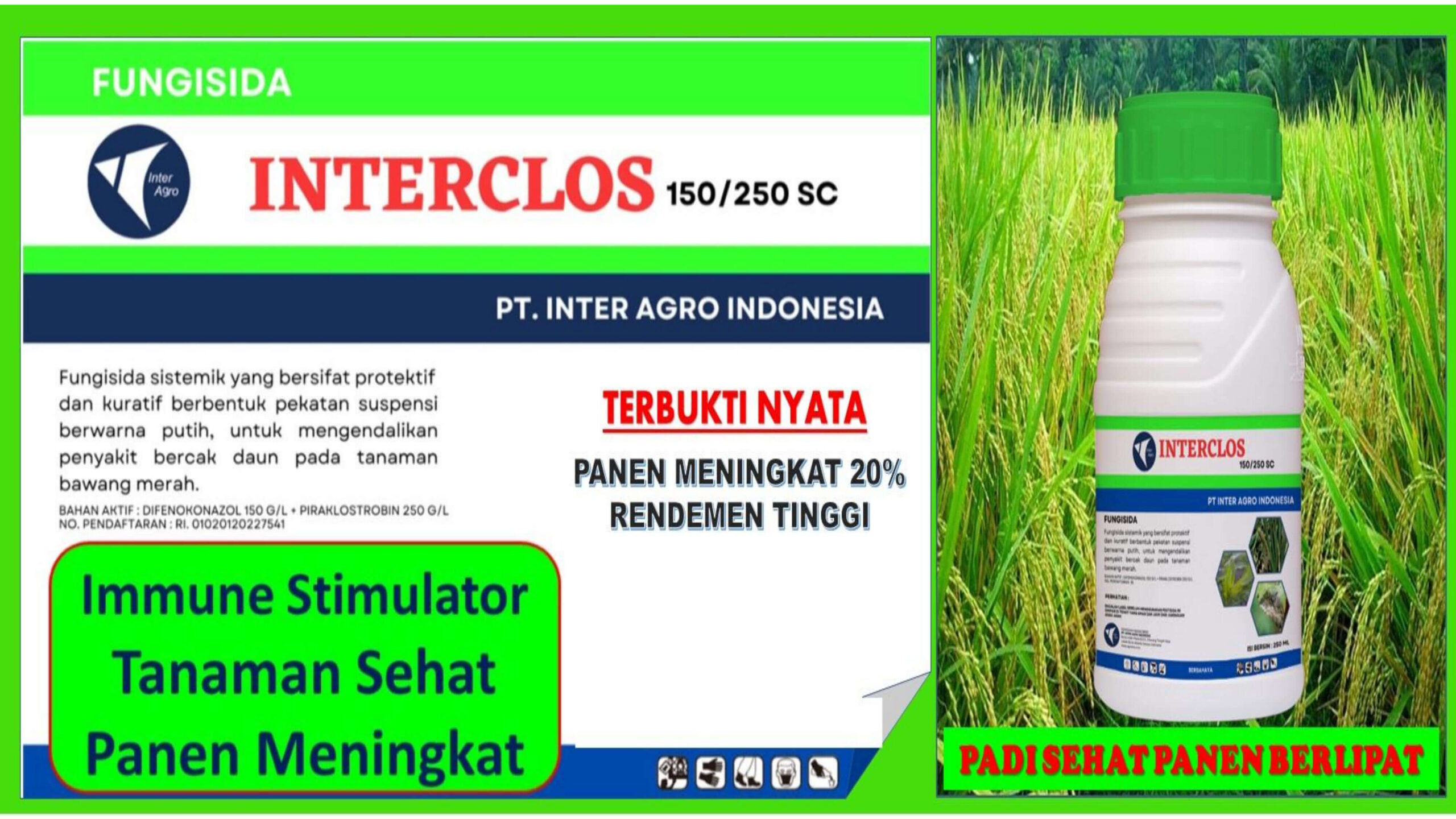 8. Interclos 1 Jpg Page14
