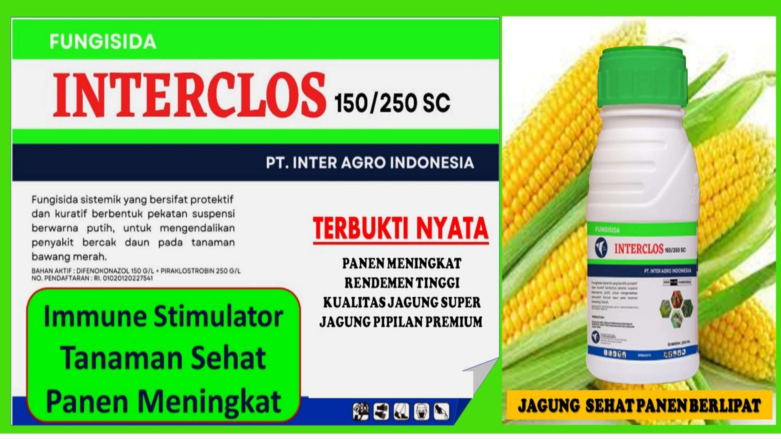 8. Interclos 1 Jpg Page15