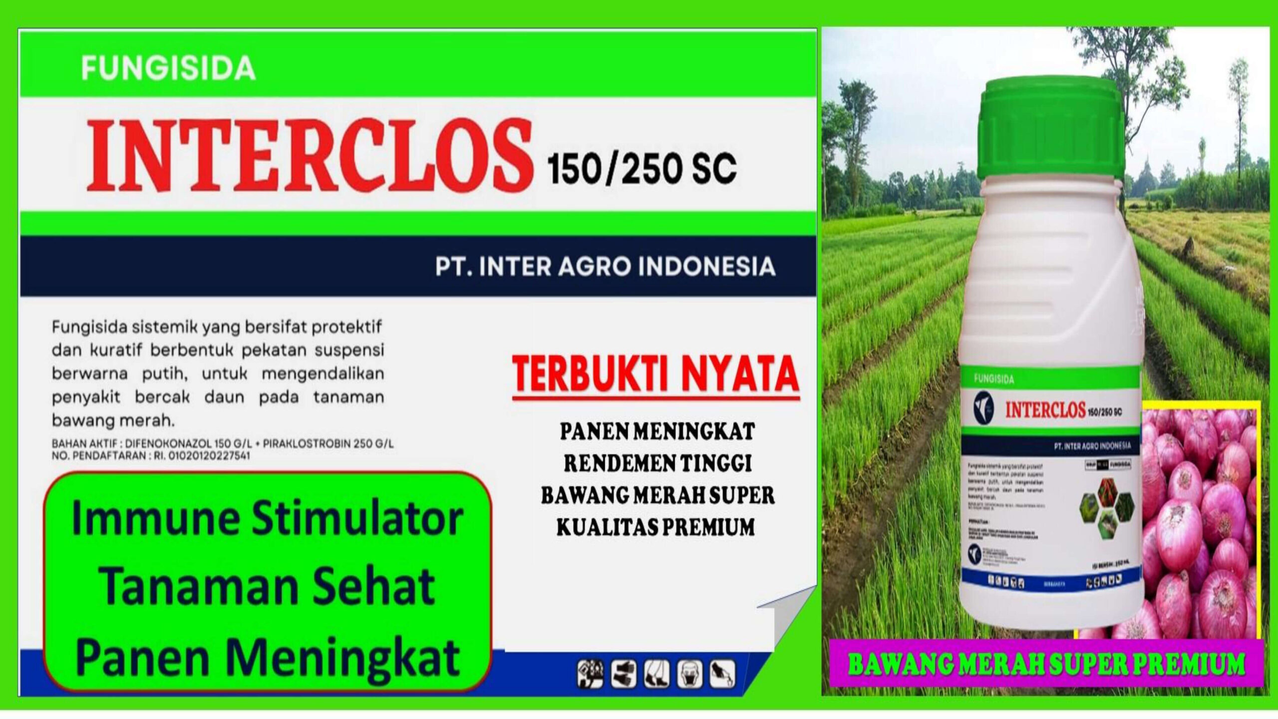 8. Interclos 1 Jpg Page16