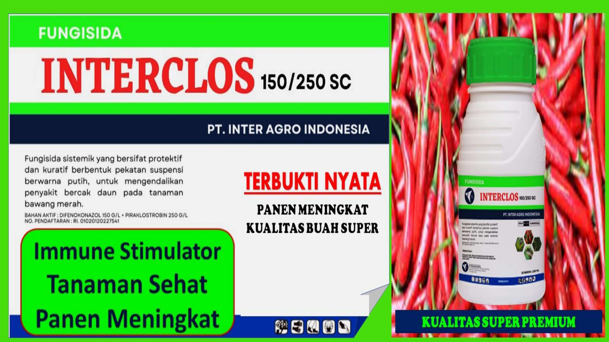 8. Interclos 1 Jpg Page17
