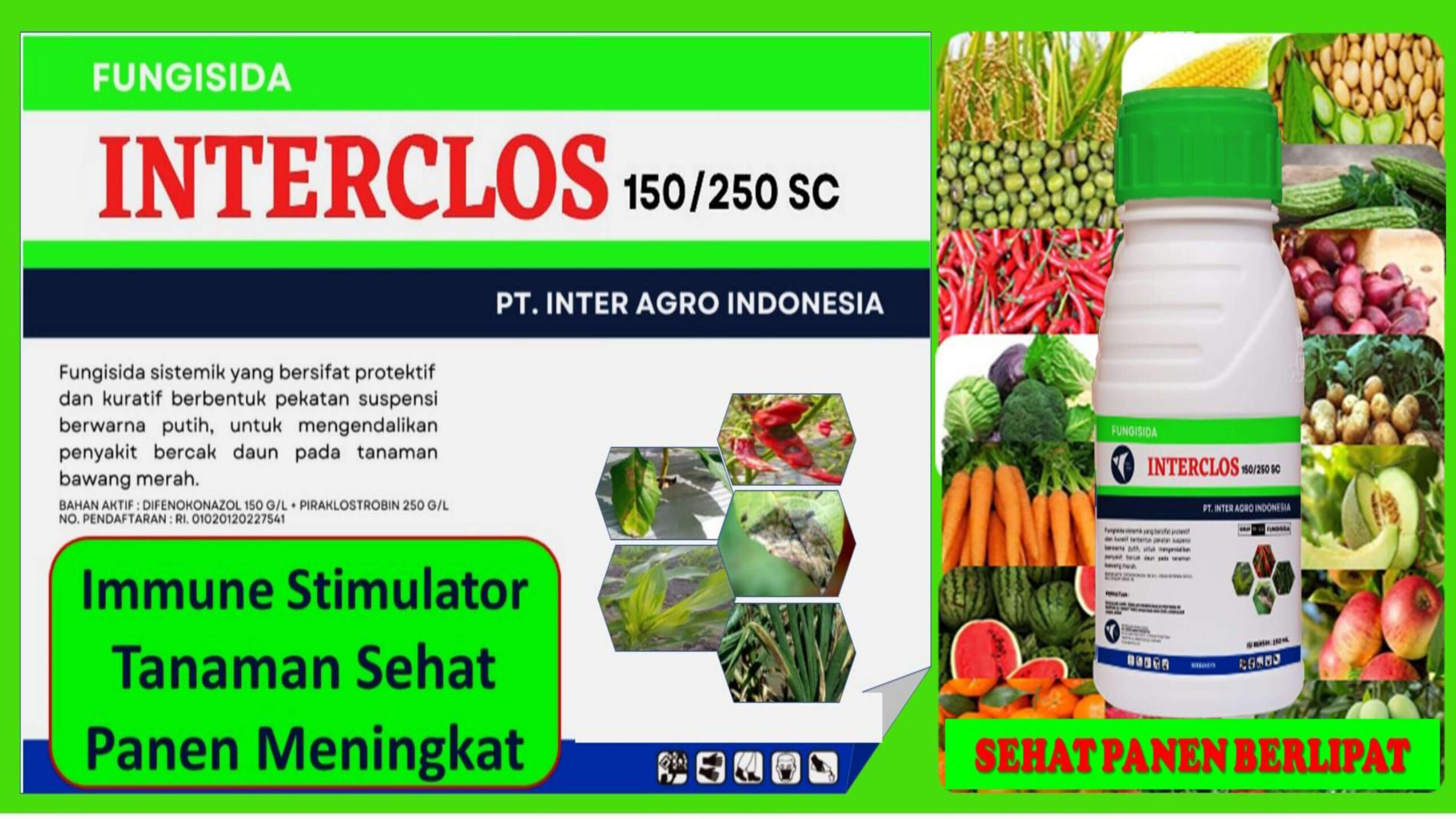 8. Interclos 1 Jpg Page19