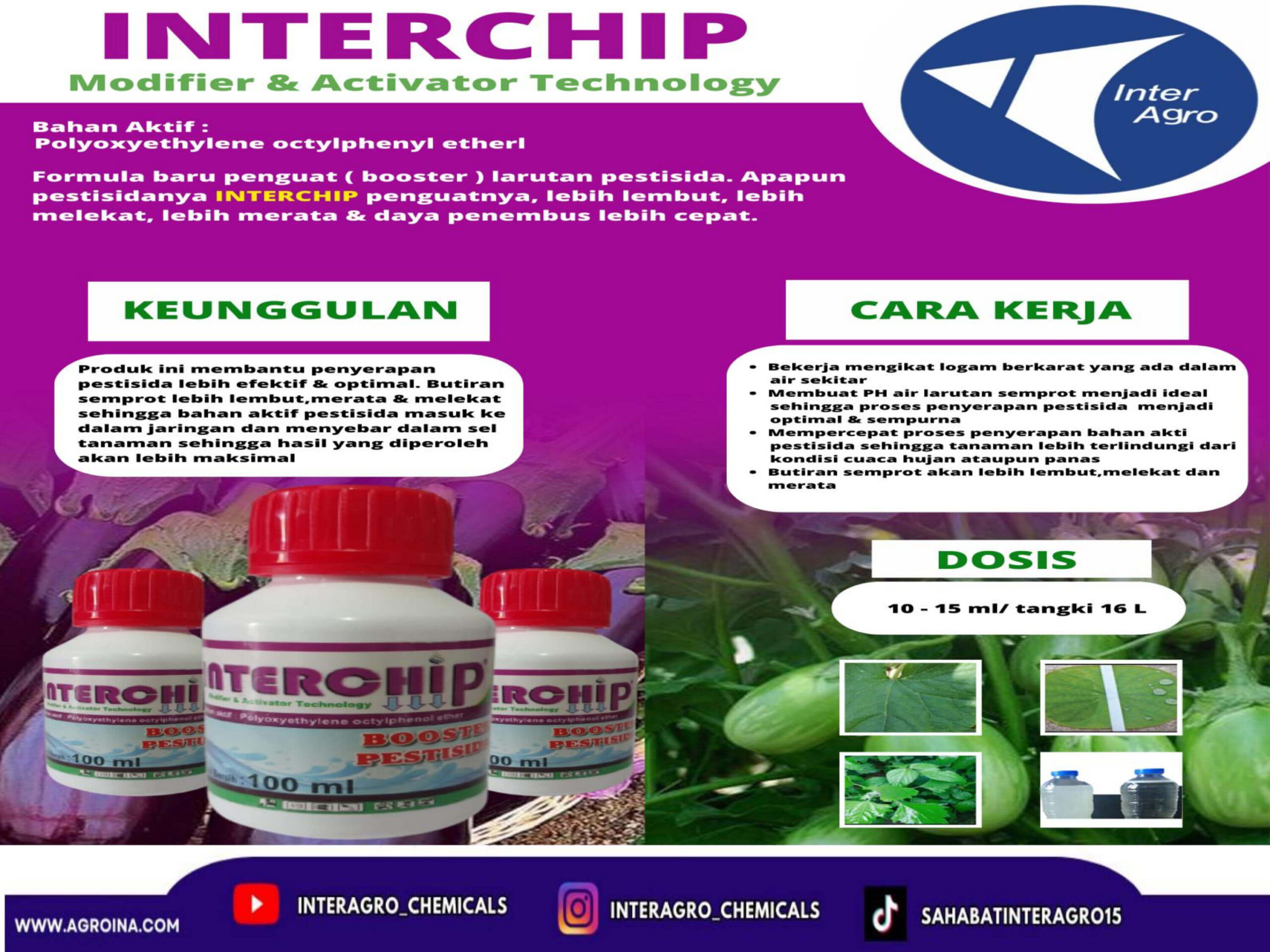 9. Interchipjpg Page12