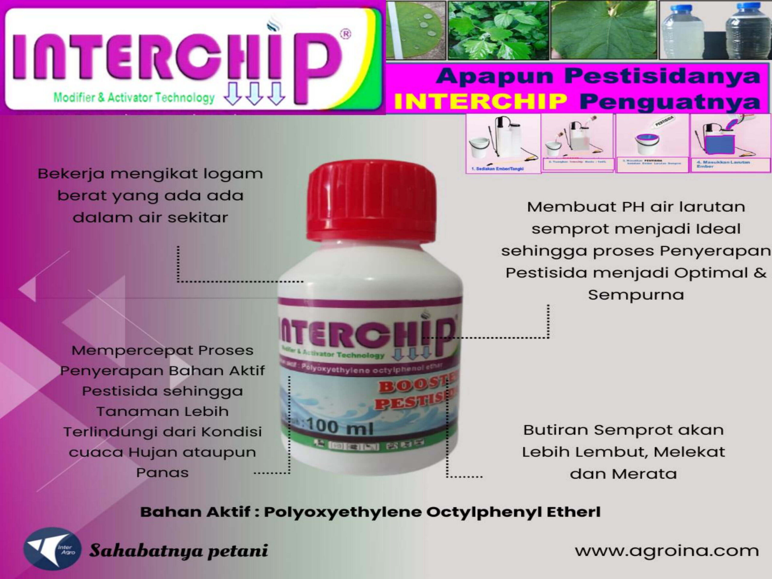 9. Interchipjpg Page13