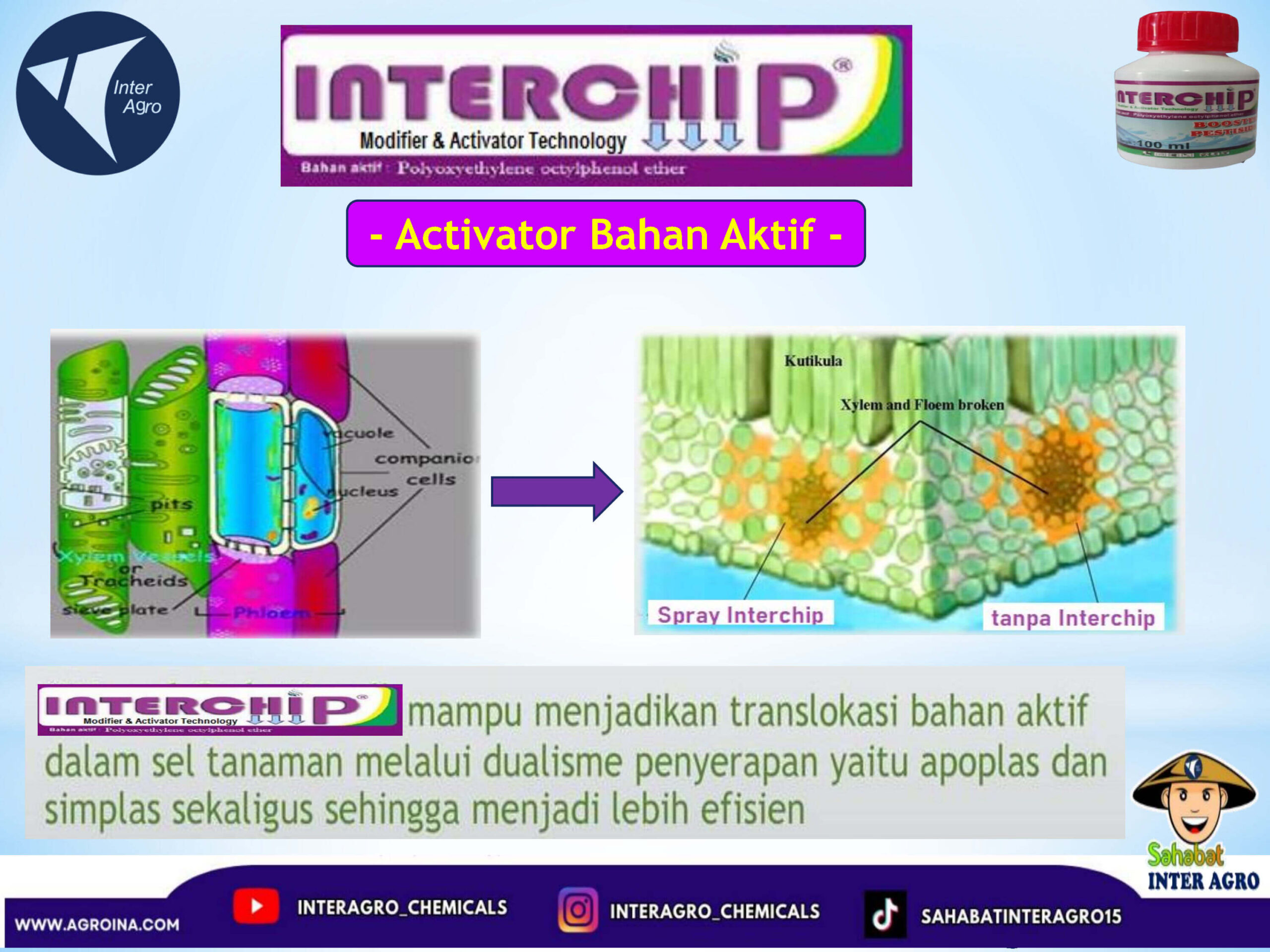 9. Interchipjpg Page4