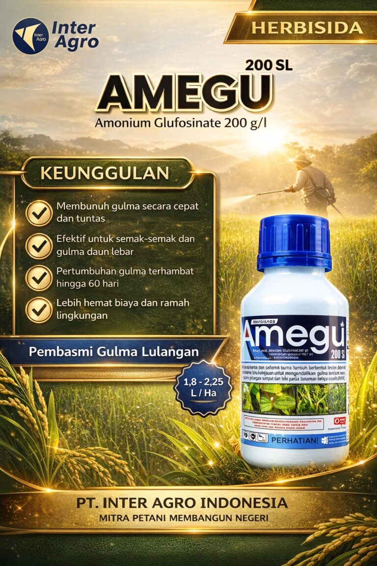 Amegu