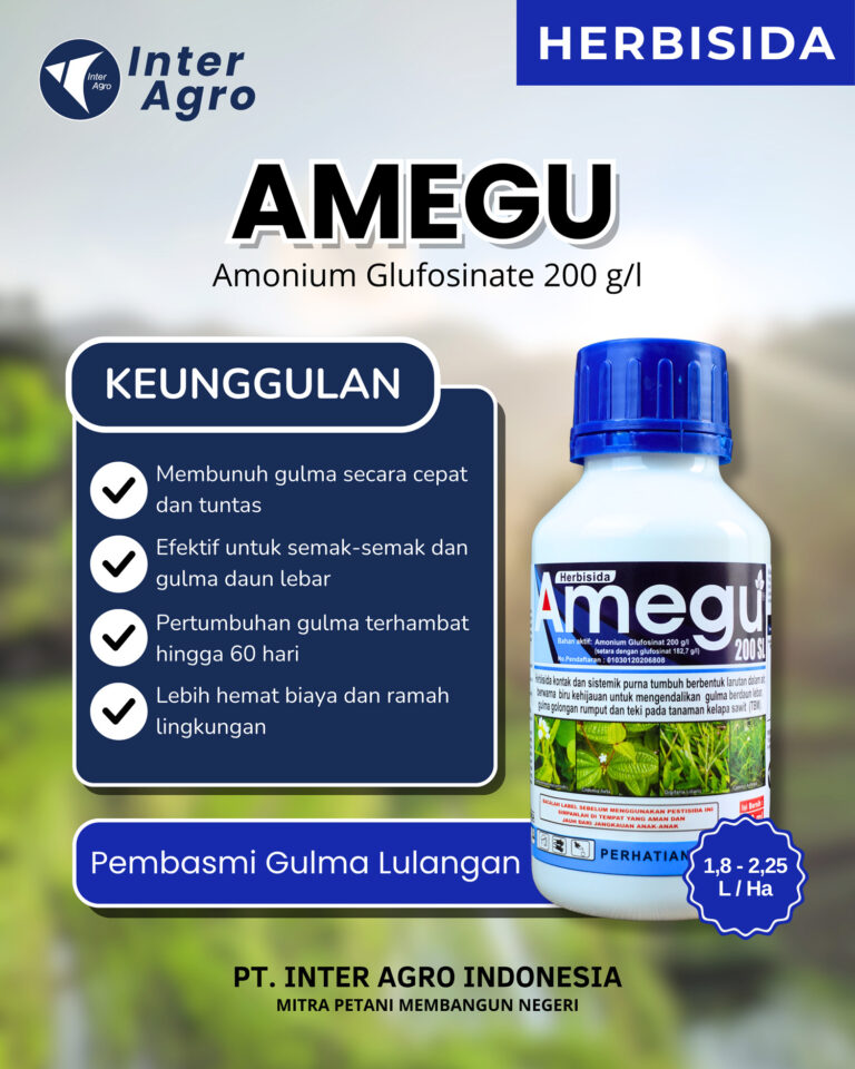 Amegu