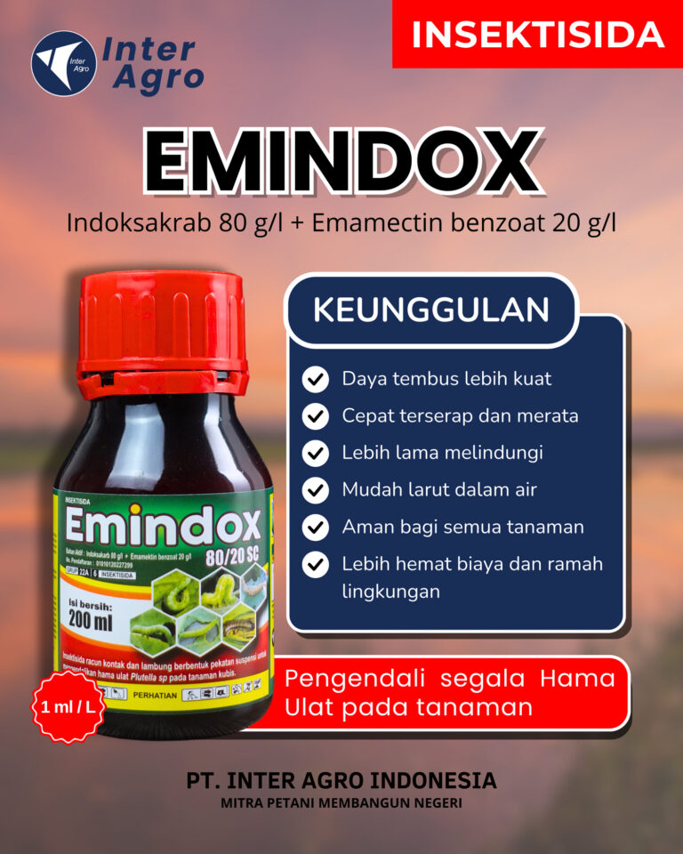 Emindox