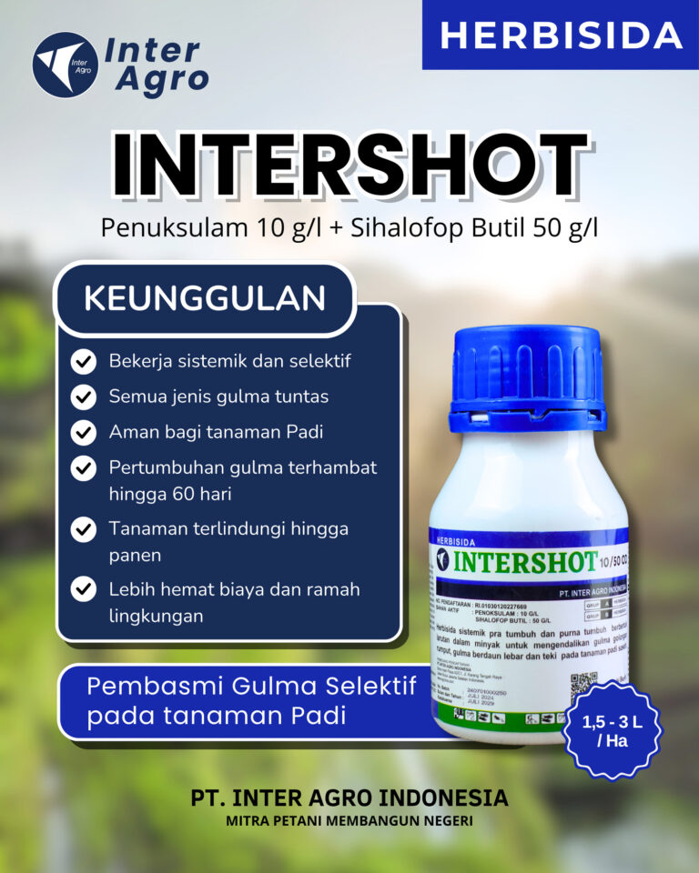 Intershot