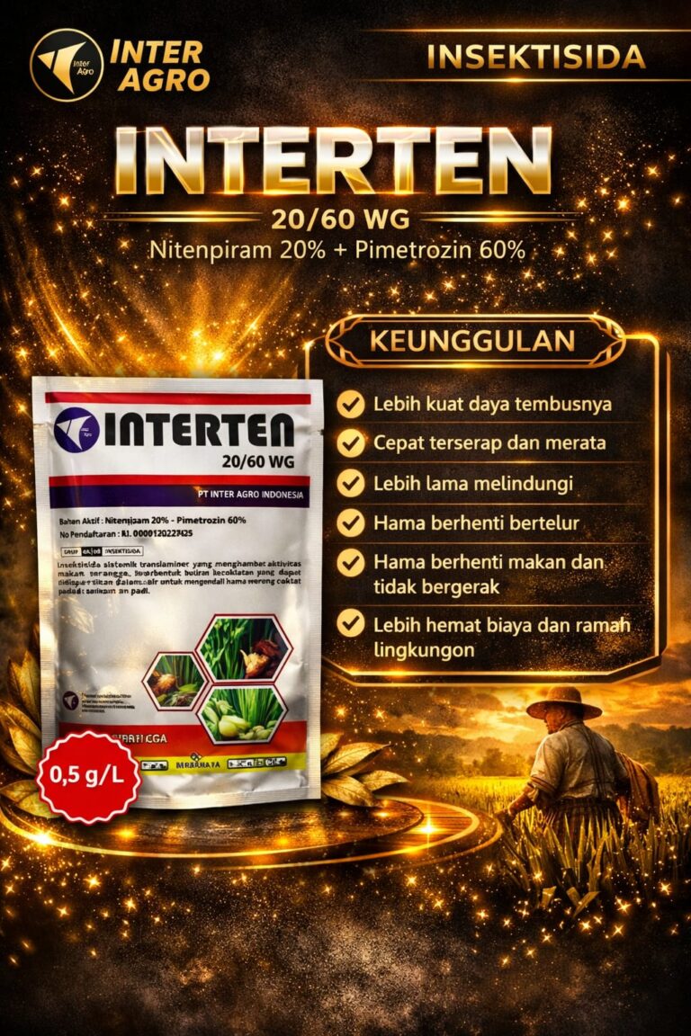 Interten