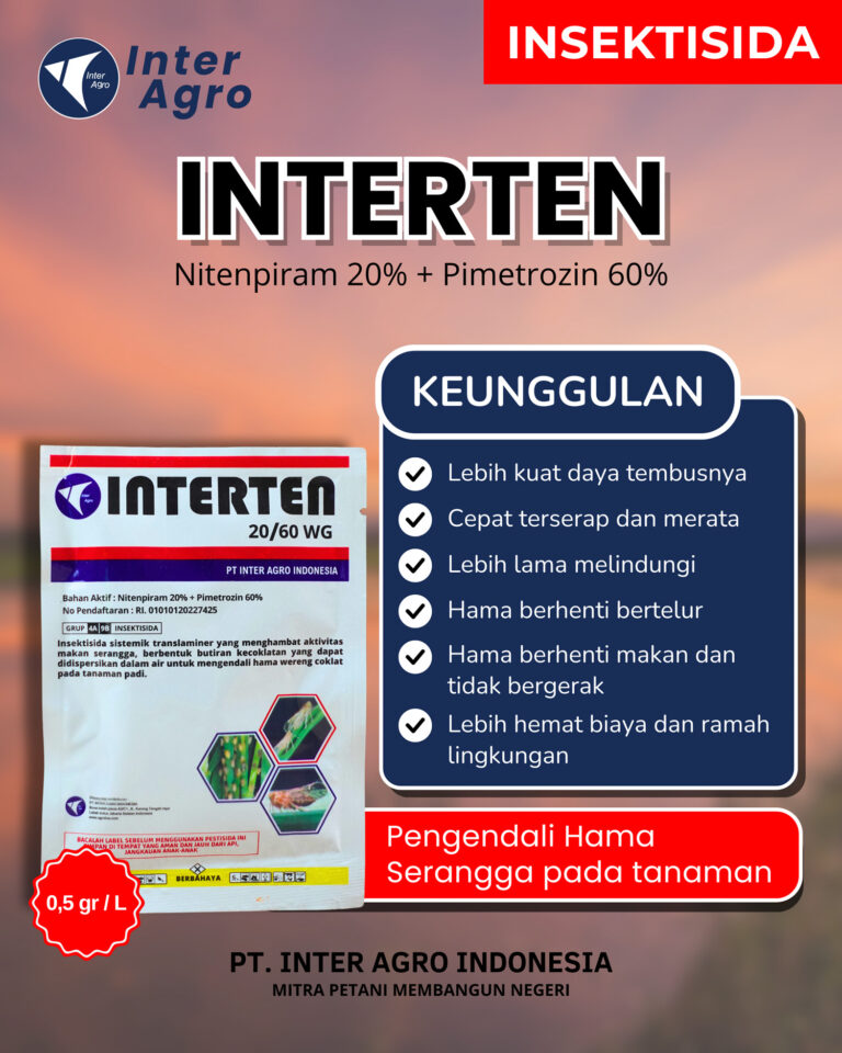Interten