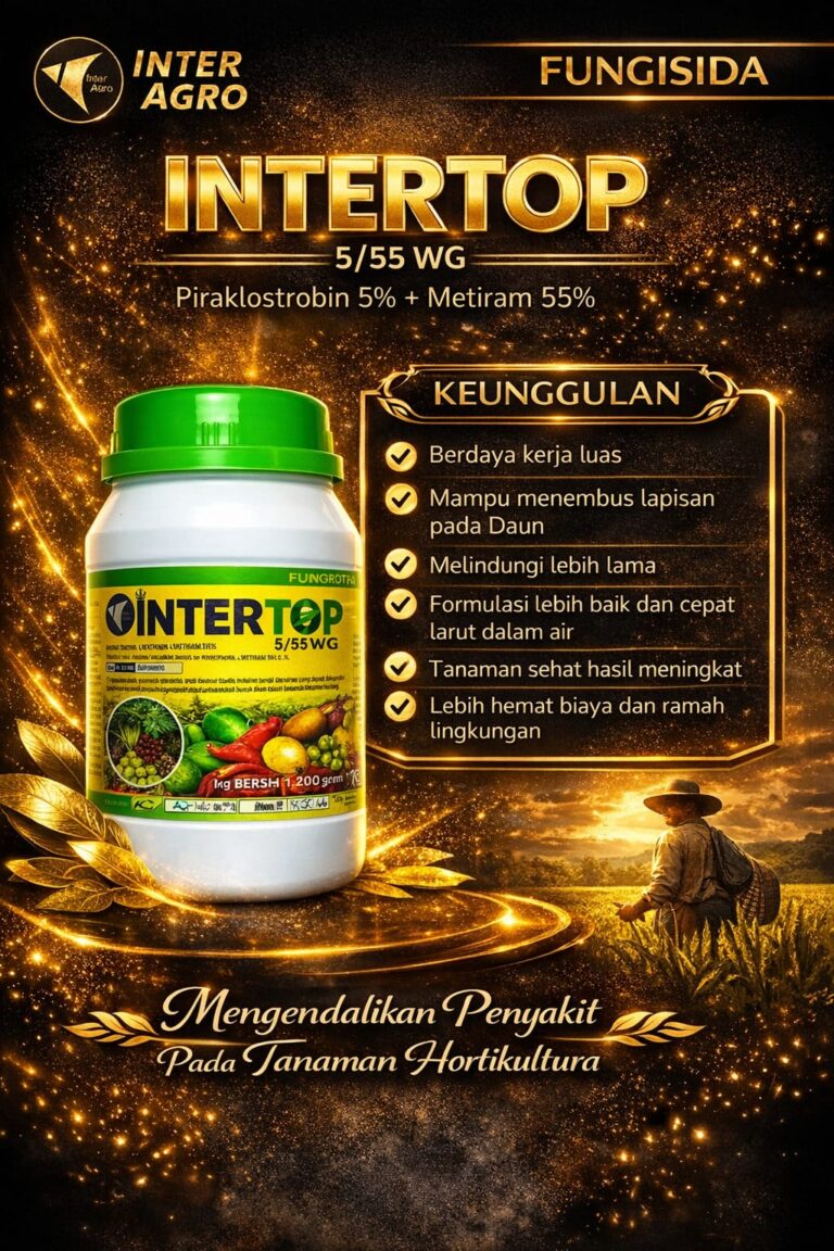 Intertop