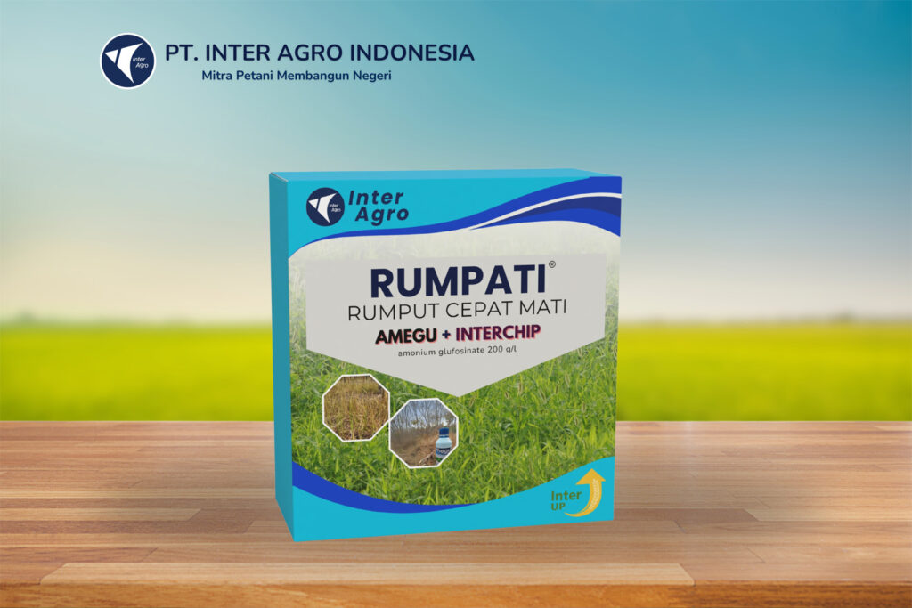 Rice Solution 1.0二级封面png 副本