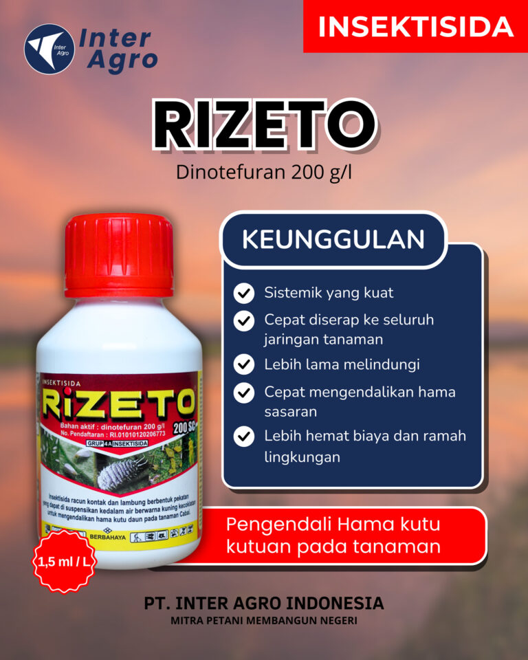 Rizeto
