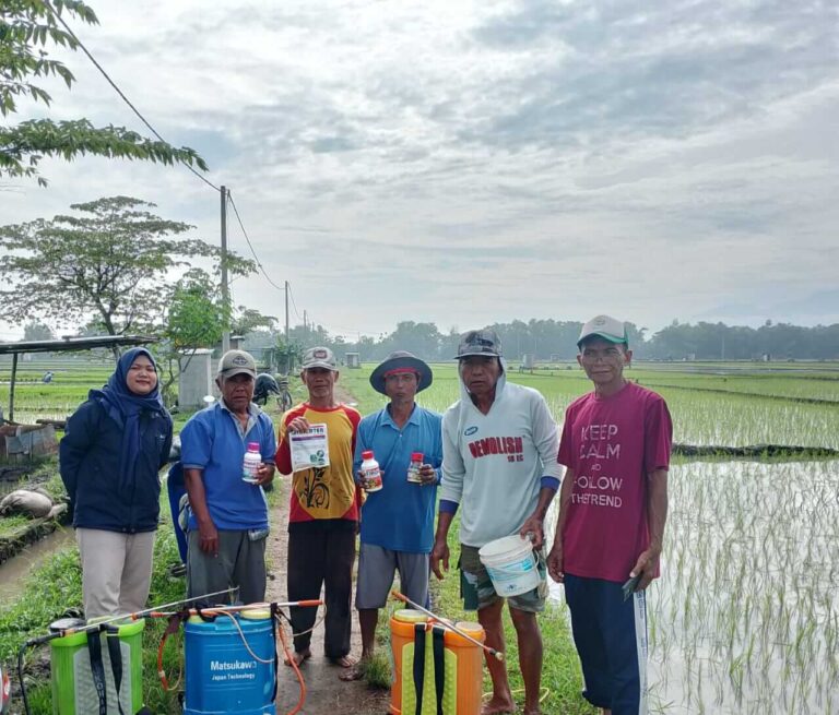 Pt Inter Agro Indonesia Gelar Spray Massal Di Bibrik, Petani Antusias Saksikan Hasil Aplikasi Langsung