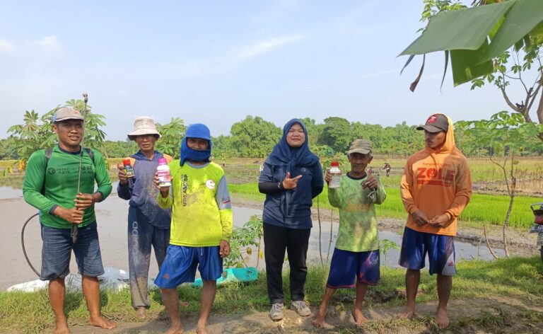 Pt. Inter Agro Indonesia Perkenalkan Solusi Penggerek Batang Lewat Spray Massal