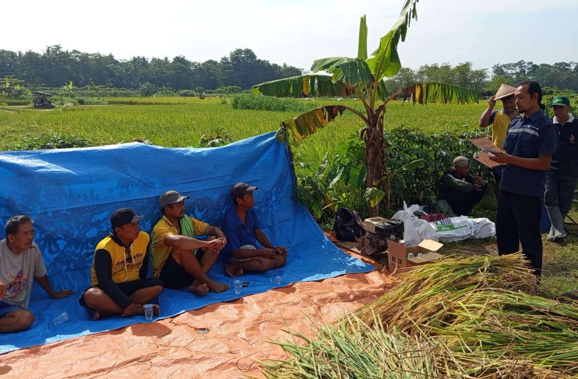 20260120 Farmers Meeting Klirong Bahas Solusi Padi Patah Leher (2)