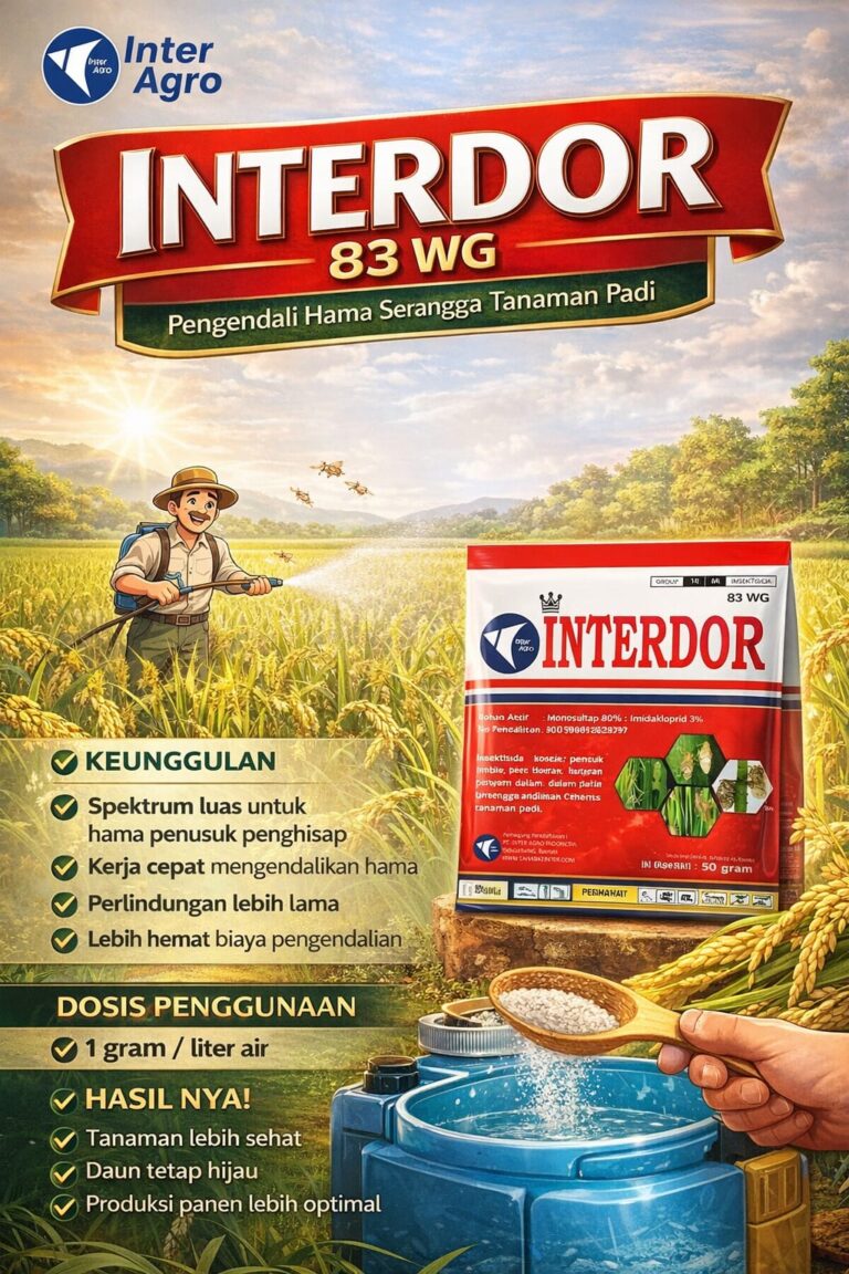 Interdor