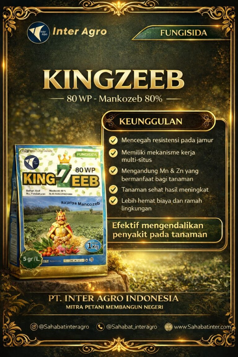 Kingzeeb