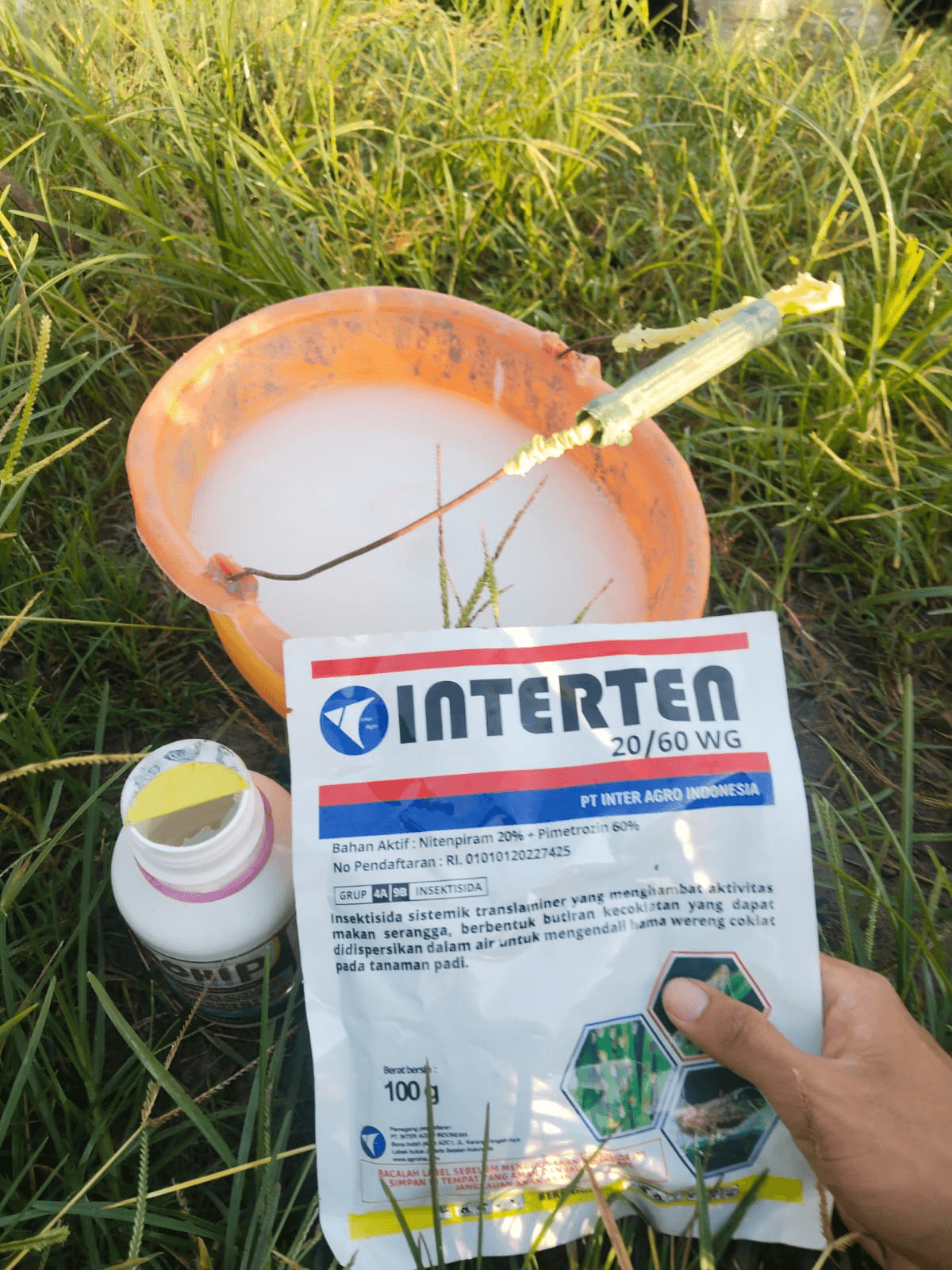 Antisipasi Serangan Wereng, Inter Agro Indonesia Gelar Aksi Spray Massal Dan Edukasi Petani Di