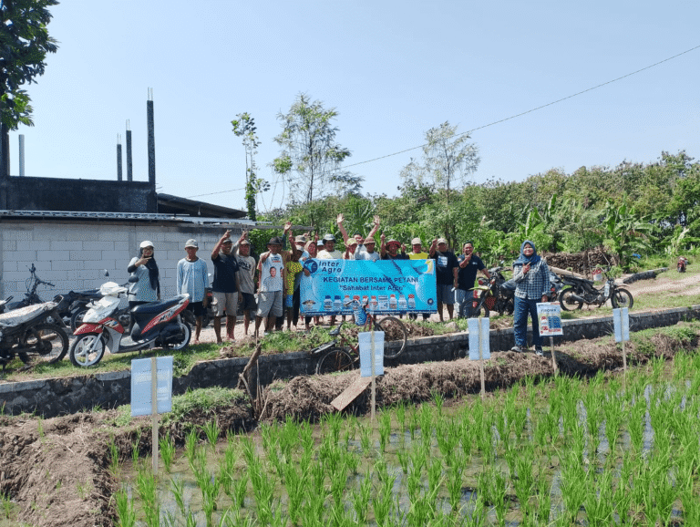 Gelar Farmer Field Day Di Ngawi, Inter Agro Indonesia Sukses Edukasi Petani Dan Pacu Penjuala V