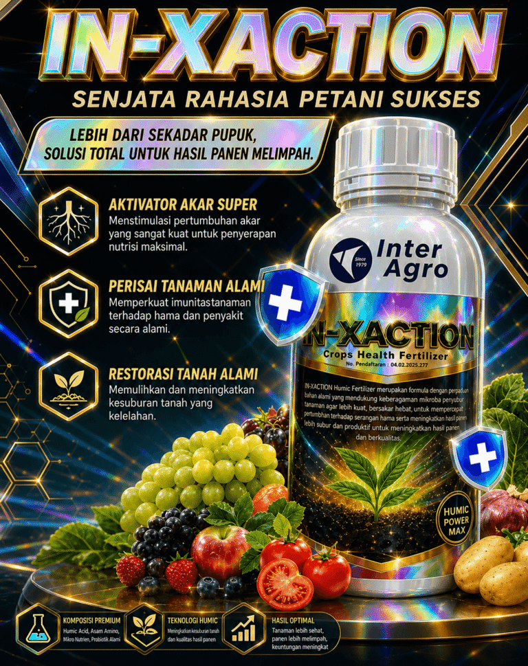 IN-XACTION Humic Fertilizer