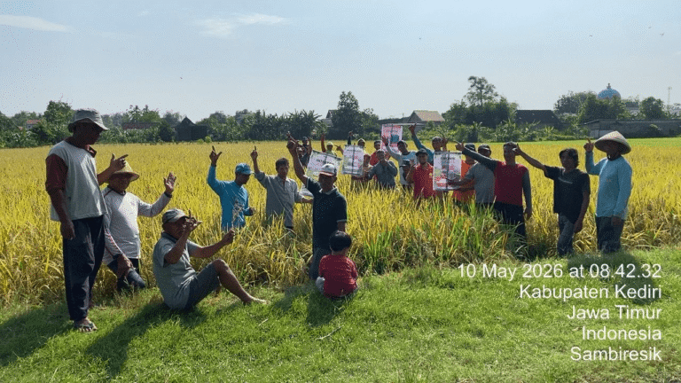 Tampilkan Hasil Nyata Demoplot, Inter Agro Indonesia Sukses Edukasi Puluhan Petani Padi Di Kediri V