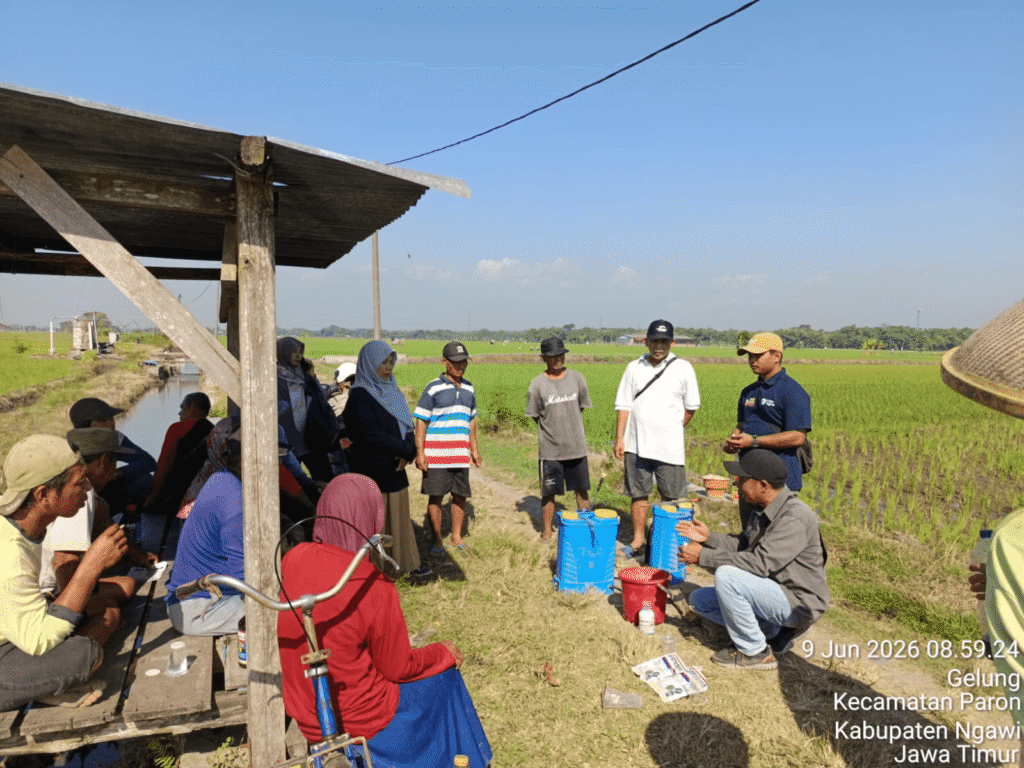 Antisipasi Wereng Di Ngawi 1