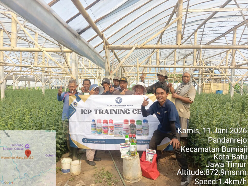 Atasi Penyakit Karat Daun, Pt Inter Agro Indonesia Edukasi Petani Krisan Kota Batu Melalui Farmer Field Day (1)