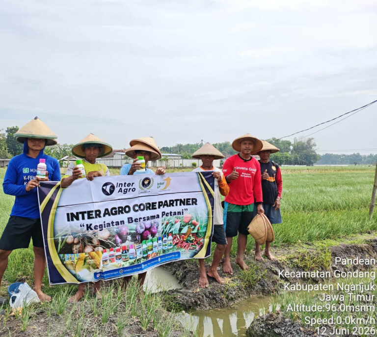 Buktikan Hasil Nyata, Pt Inter Agro Indonesia Edukasi Petani Bawang Merah Nganjuk Melalui Farmer Fiel