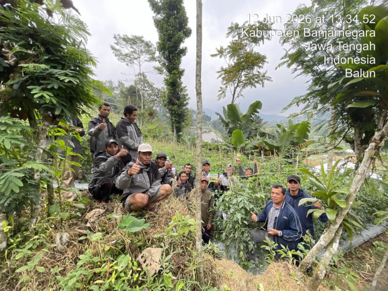 Sasar Petani Tomat Dan Cabai Di Banjarnegara, Inter Agro Indonesia Sukses Gelar F (1)